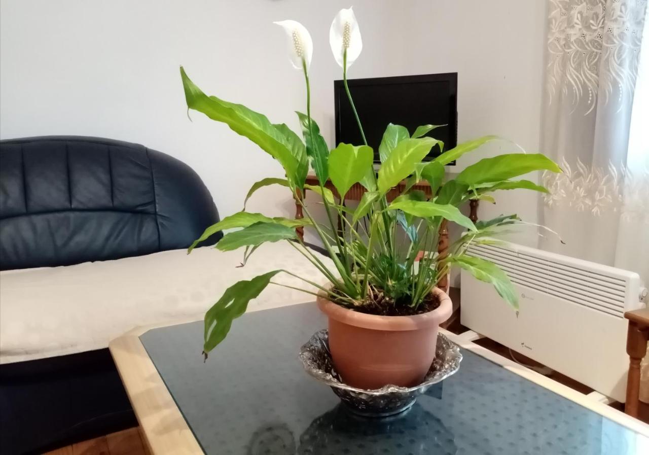 Mateski Guest House Ohrid Buitenkant foto