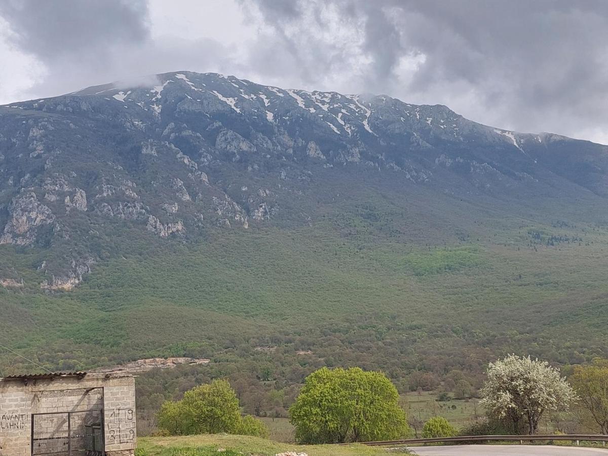 Mateski Guest House Ohrid Buitenkant foto