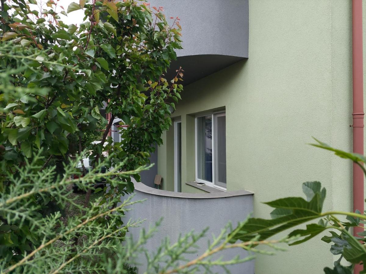 Mateski Guest House Ohrid Buitenkant foto