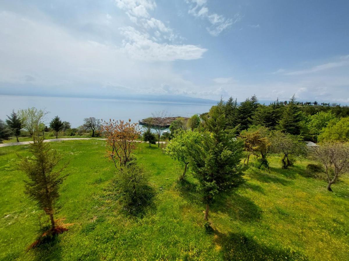 Mateski Guest House Ohrid Buitenkant foto