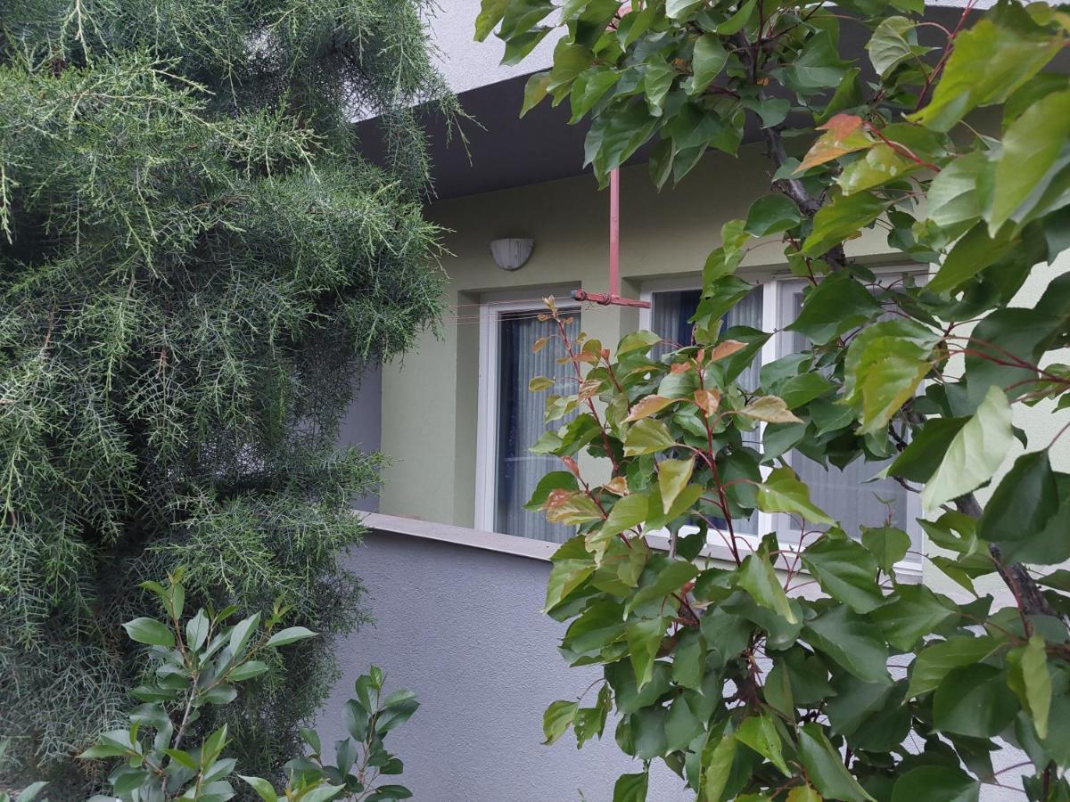 Mateski Guest House Ohrid Buitenkant foto