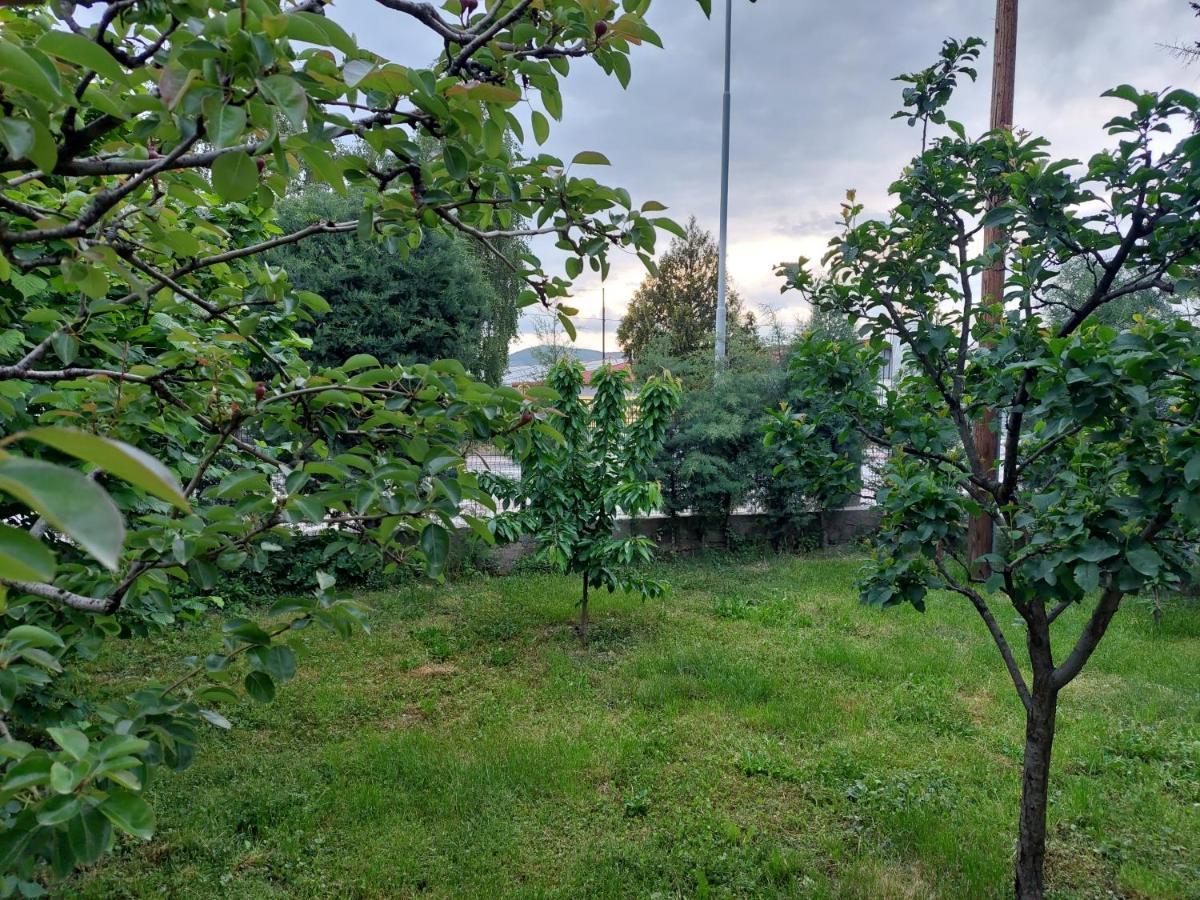 Mateski Guest House Ohrid Buitenkant foto